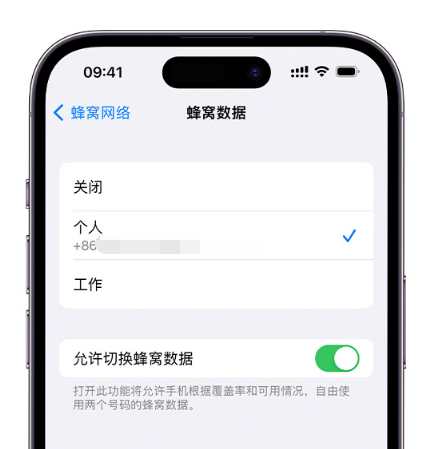 柘荣苹果维修服务分享如何在iPhone上使用双卡 